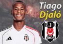 Djalo’da Sona Doğru!